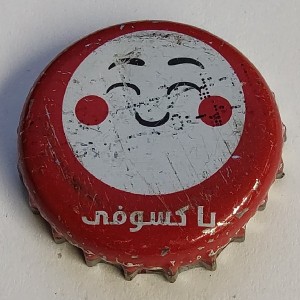 Cap 2220