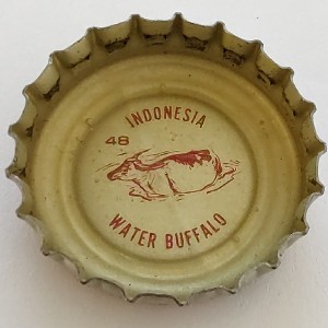 Cap 11944
