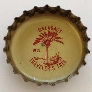 Cap 12009