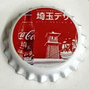 Cap 8653