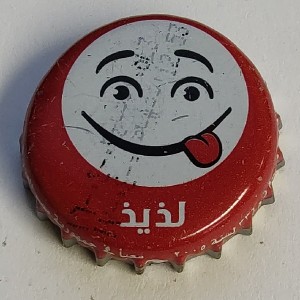 Cap 2221