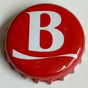 Cap 8433
