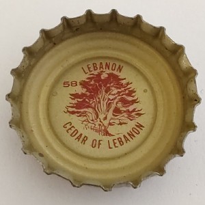 Cap 12025