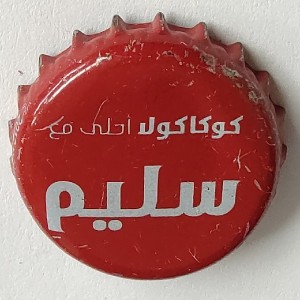 Cap 6076