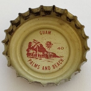 Cap 11953