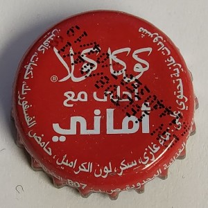 Cap 2317